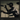 Black 2LP