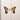Paramore - Brand New Eyes