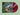 MUVA OF EARTH - ALIGN WITH NATURE'S INTELLIGENCE (PINK AGATE VINYL)